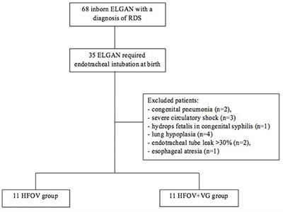Effects of High-Frequency Oscillatory Ventilation With Volume Guarantee During Surfactant Treatment in Extremely Low Gestational Age Newborns With Respiratory Distress Syndrome: An Observational Study